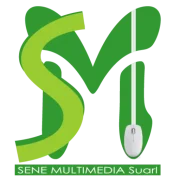 Sene Multimedia