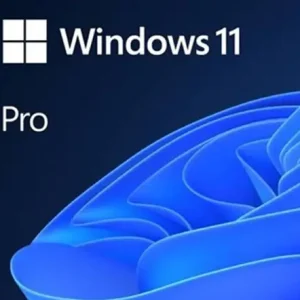 windows 11 pro